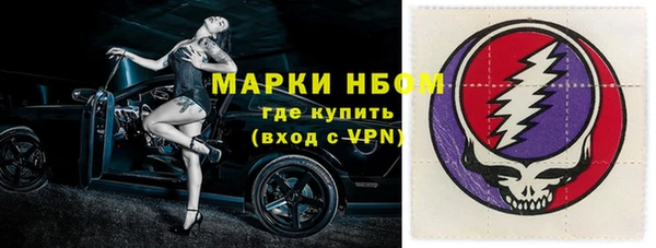 индика Майский